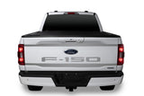 Lettrage Ford Putco 2021 Ford F-150 (lettres découpées/acier inoxydable) Emblèmes de hayon