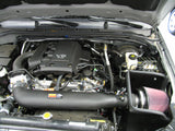K&N 08-09 Nissan Pathfinder/Xterra/Frontier V6-4.0L AirCharger Performance Intake