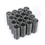 Ensemble de ressorts de soupape Skunk2 Alpha Series Honda D Series VTEC