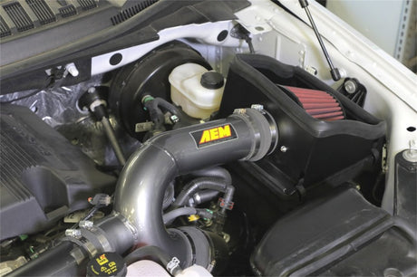 Prise d'air froid gris métallisé AEM 17-18 Ford F-150 3,5 L V6 F/I