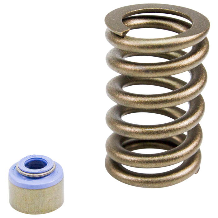 COMP Cams 88-06 Jeep 4.0L .450in Lift Valve Springs Kit