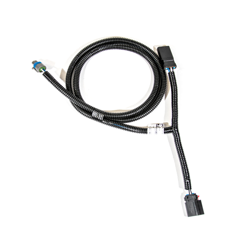 Faisceau de câbles IAT suralimenté VMP Performance 15+ Coyote 5,0 L (style GM en laiton)