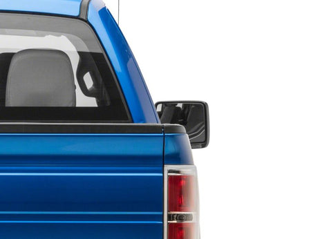 Clignotants LED séquentiels montés sur rétroviseur Raxiom 04-14 Ford F-150 Axial Series - Transparent