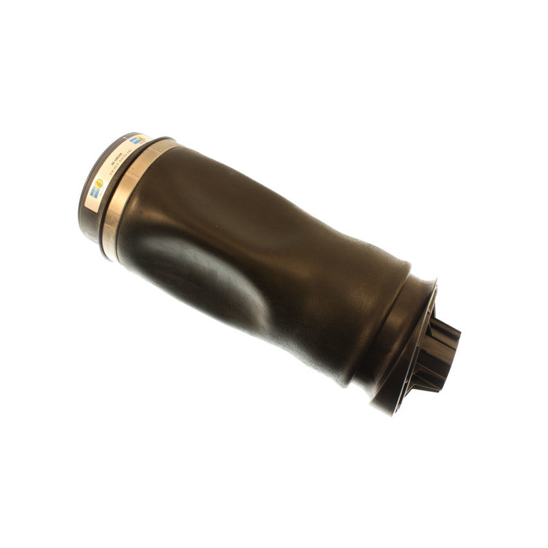Bilstein B4 2006 Mercedes-Benz R350 4Matic Rear Air Bag Bilstein
