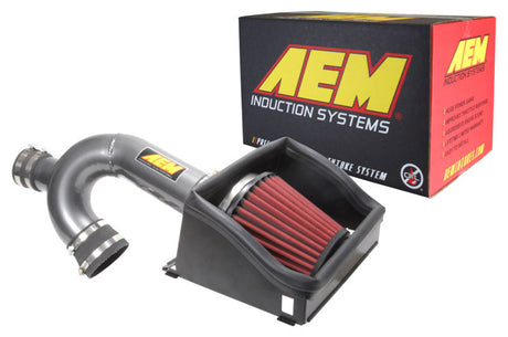 Prise d'air froid gris métallisé AEM 17-18 Ford F-150 3,5 L V6 F/I