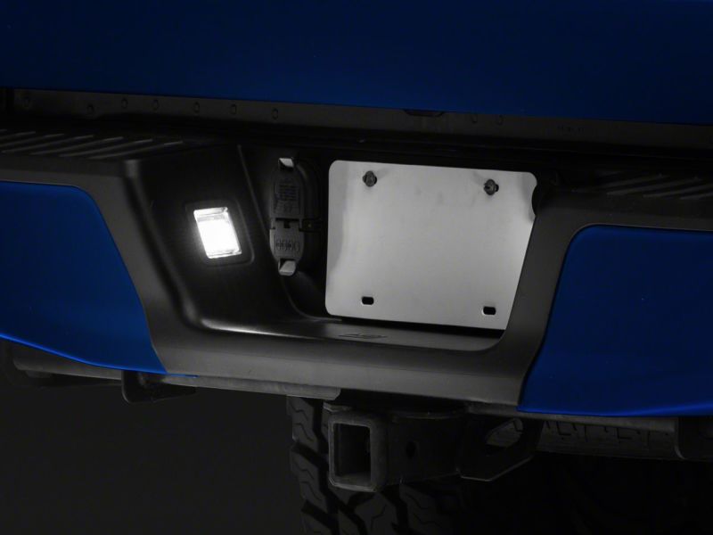 Lampes de plaque d'immatriculation à LED Raxiom 15-23 Ford F-150 Axial Series