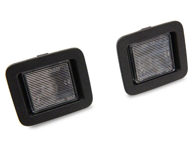 Lampes de plaque d'immatriculation de remplacement OEM Raxiom 15-23 Ford F-150 Axial Series