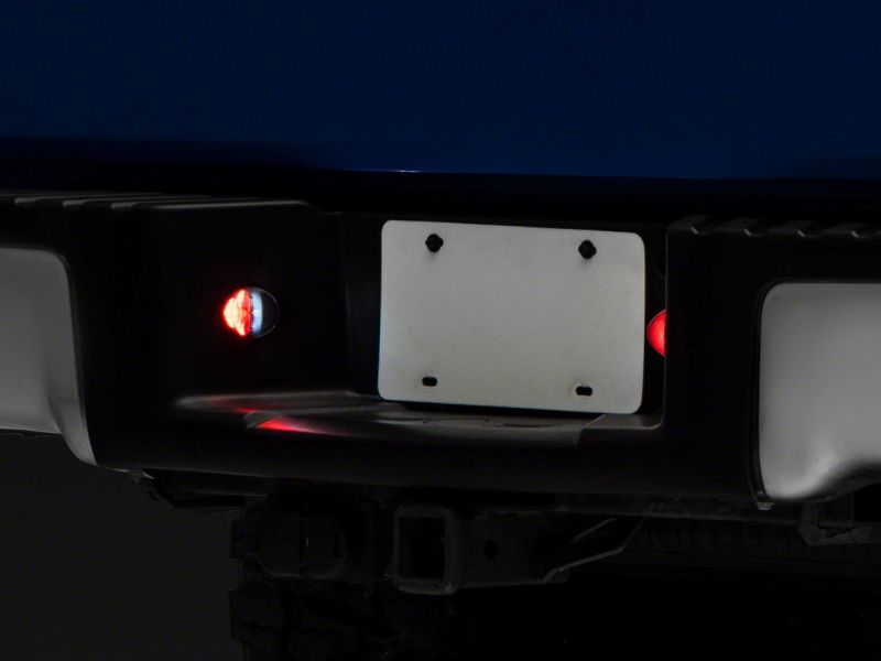 Lampes de plaque d'immatriculation à LED Raxiom 10-14 Ford F-150 Axial Series - Rouge et blanc