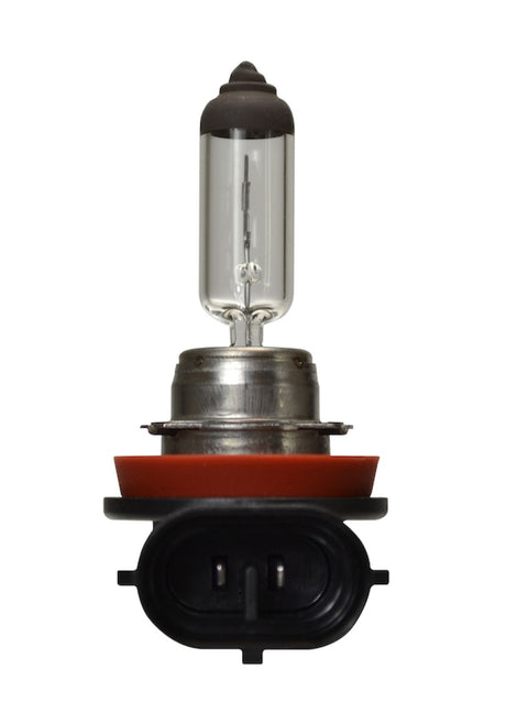 Ampoule Hella H16 12V 19W PGJ19-3