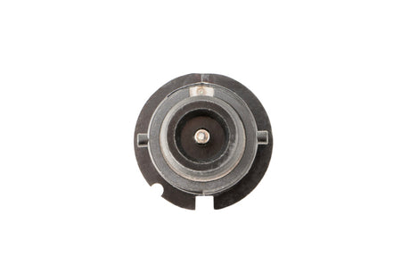 Ampoule HID D2S 8000K de Diode Dynamics (paire)