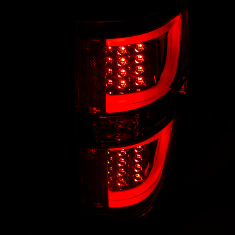 Feux arrière à LED ANZO 2009-2013 Ford F-150 Rouge/Clair