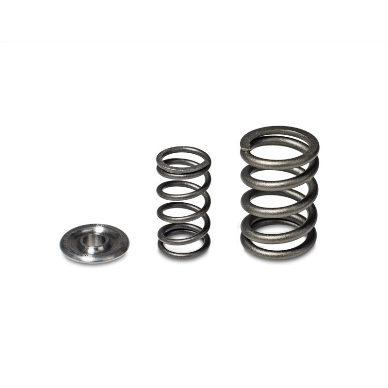 Skunk2 Alpha Series Honda/Acura H Series Valve Spring and Titanium Retainer Kit