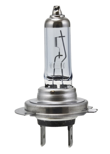 Ampoules halogènes Hella H7 12V 55W PX26D HP 2.0