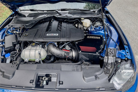 Prise d'air en fibre de carbone forgée avec DryTech 3D sans huile pour Ford Mustang GT 5.0L V8 Corsa 18-23