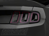Garniture de conversion de feu arrière Raxiom 10-12 pour Ford Mustang