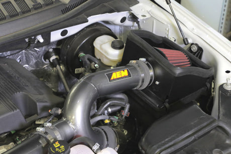 Prise d'air froid gris métallisé AEM 17-18 Ford F-150 3,5 L V6 F/I